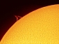Sole 13-06-2009 13,51 20s